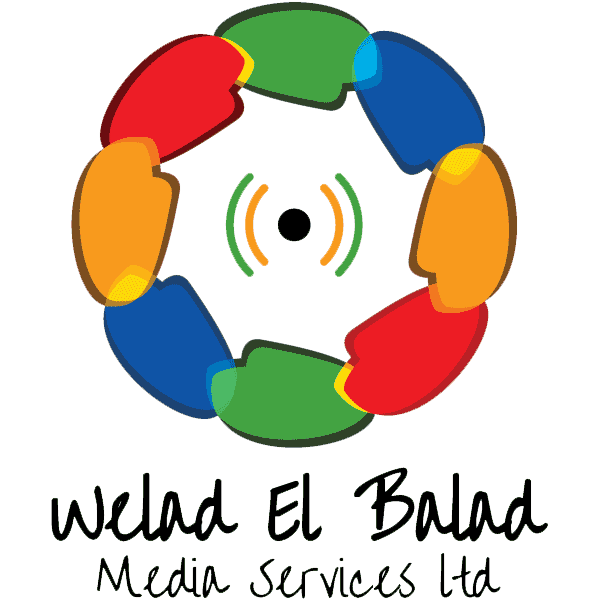 logo-org-s